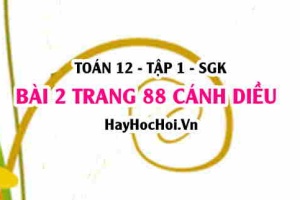Bài 2 trang 88 Toán 12 tập 1 Cánh Diều